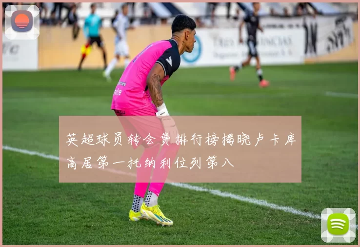 英超球员转会费排行榜揭晓卢卡库高居第一托纳利位列第八